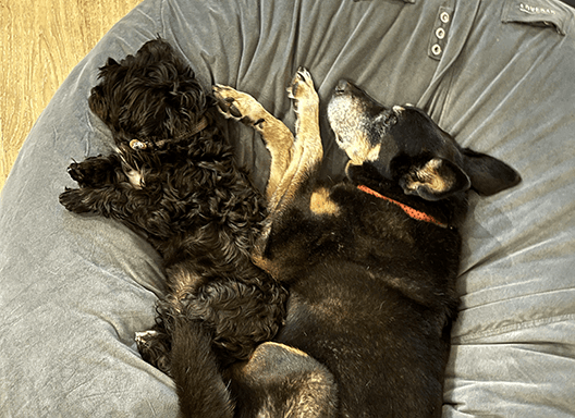 image of Mattie & Cocoa